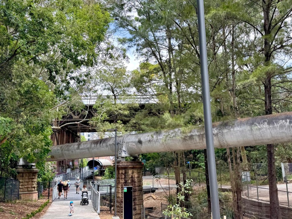 Guided bike tours in Sydney